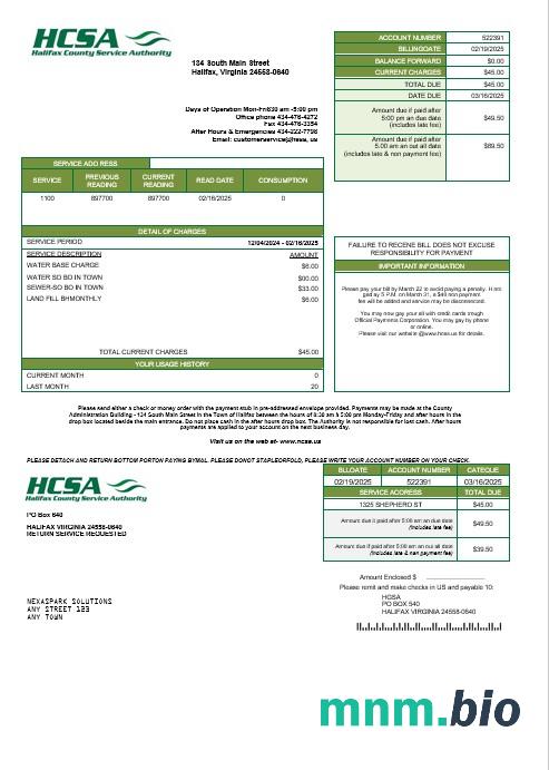 Szablon rachunku za media Biznesowe w USA Virginia HCSA w formatach Word i PDF